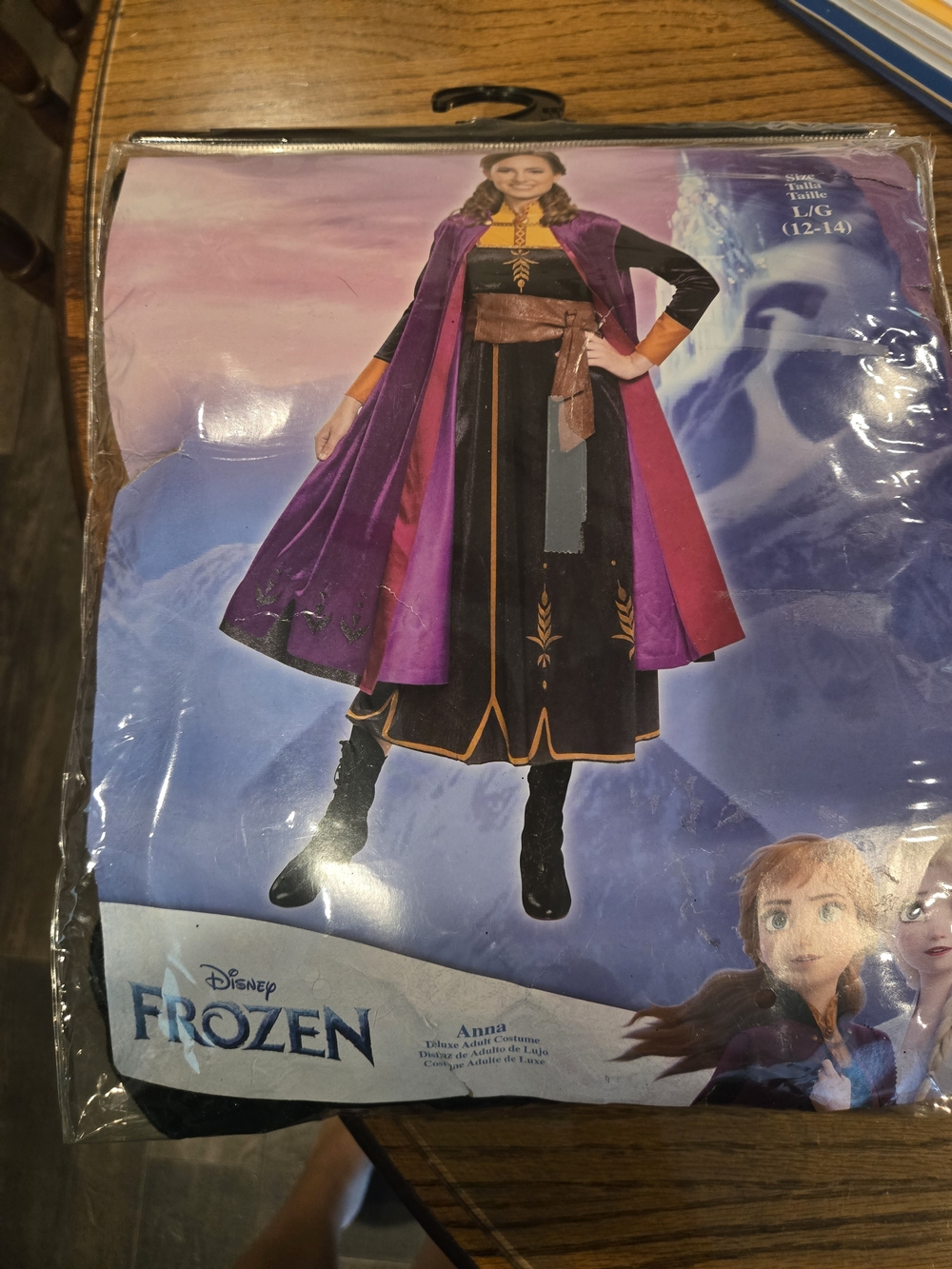 Disney Frozen 2 Anna Deluxe Costume Womens Large